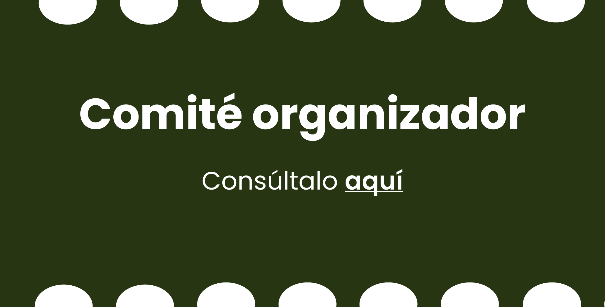 Comité organizador