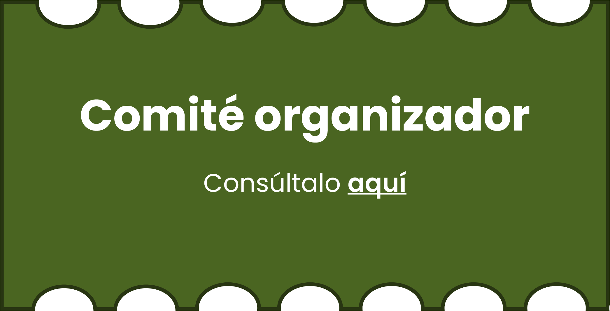 Comité organizador
